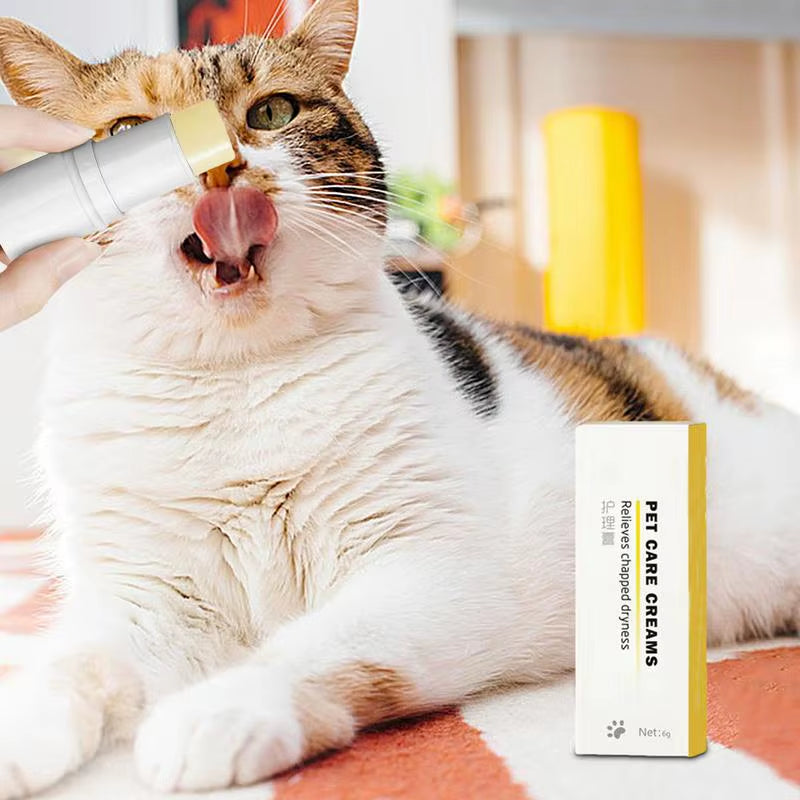 6G Dog Nose and Paw Balm Dog Paw Cream Cats Dogs Paw Protector Cream Pet Feet Moisturizer Pet Crack Feet Repair Pet Accessories