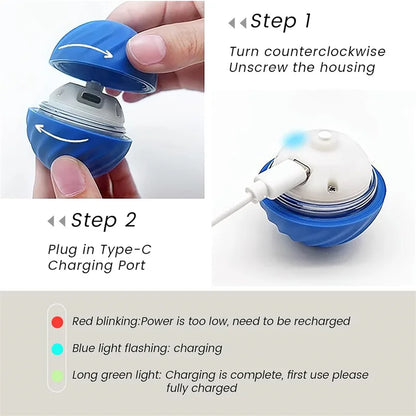 PlayPaw - Intelligenter Spielball für Hunde